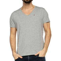 Vêtements Homme T-shirts & Polos Tommy Hilfiger DM0DM04410 Gris