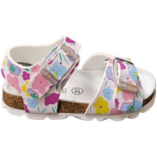 Chaussures Enfant Sandales et Nu-pieds Grunland  Multicolore