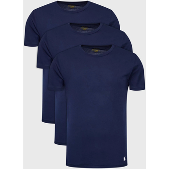 Vêtements Homme T-shirts manches courtes Ralph Lauren 714830304 Bleu