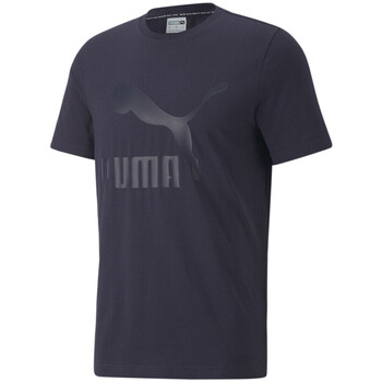 Vêtements Homme T-shirts manches courtes Puma 530089-93 Bleu