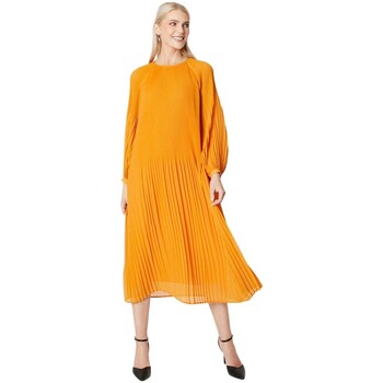 Vêtements Femme Robes Principles DH6773 Multicolore