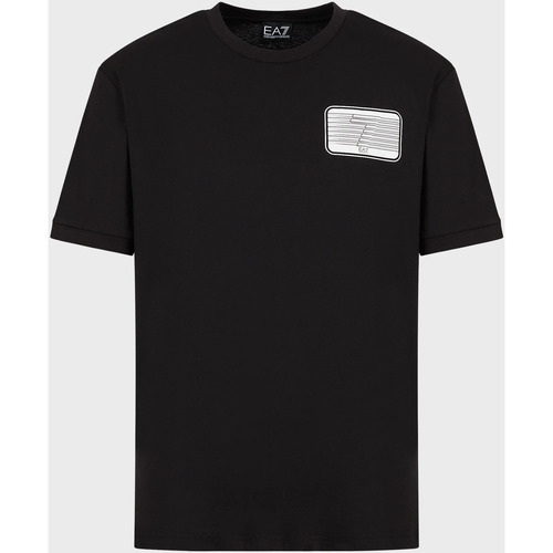 Vêtements Homme T-shirts manches courtes Emporio Armani T-shirt basique Noir