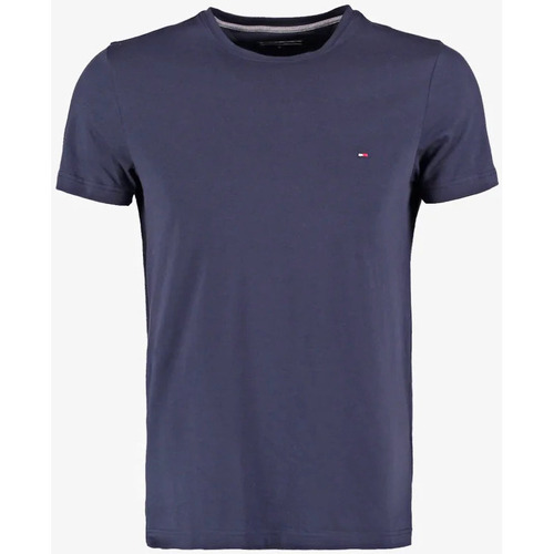 Vêtements Homme T-shirts manches courtes Tommy Hilfiger T-shirt imprime Bleu