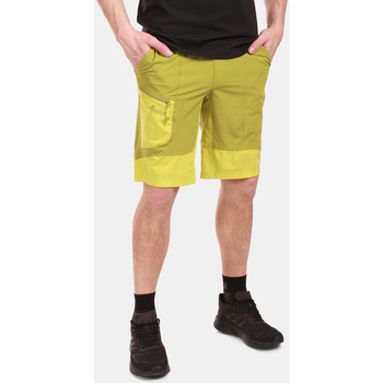 Vêtements Shorts / Bermudas Kilpi Short pour homme  BREADY-M Vert