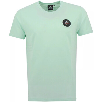 Vêtements Homme T-shirts & Polos Helvetica JONES Vert