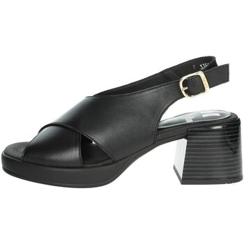 Chaussures Femme Sandales et Nu-pieds CallagHan 33501 Noir