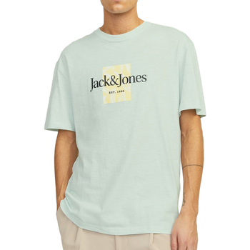 Vêtements Homme T-shirts manches courtes Jack & Jones 12250436 Bleu