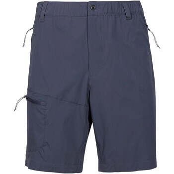 Vêtements Homme Shorts / Bermudas Trespass Carlby Gris