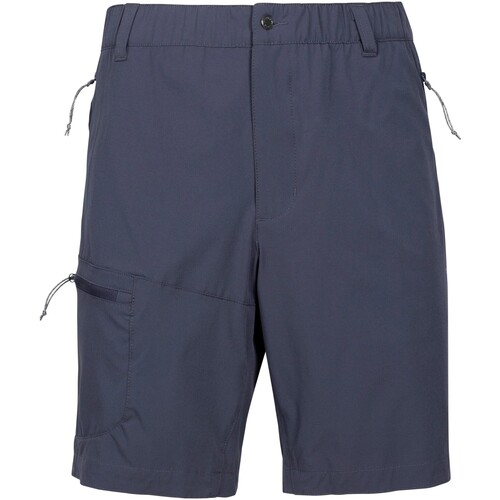 Vêtements Homme Shorts / Bermudas Trespass Carlby Gris