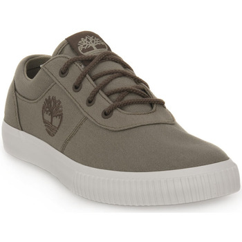 Chaussures Homme Baskets mode Timberland ER9 MYLO BAY LOW Gris
