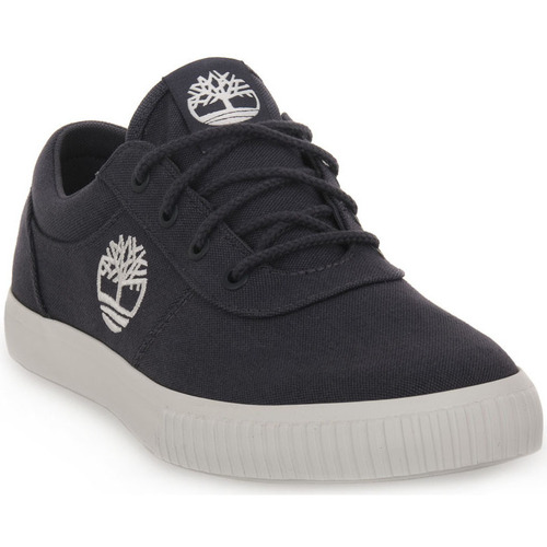Chaussures Homme Baskets mode Timberland EP4 MYLO BAY LOW Bleu