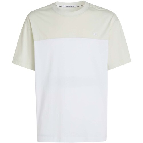 Vêtements Homme T-shirts manches courtes Ck Jeans Colorblock Tee Blanc
