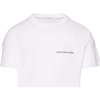 Vêtements Homme T-shirts manches courtes Ck Jeans Institutional Tee Blanc