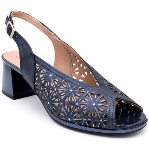 Chaussures Femme Derbies & Richelieu Pitillos 5691 Bleu