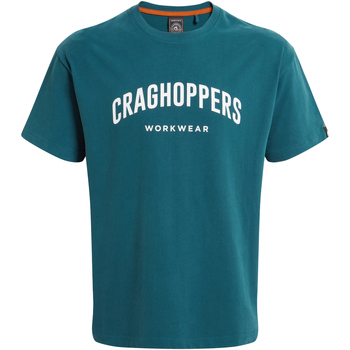 Vêtements Homme T-shirts manches longues Craghoppers Batley Bleu