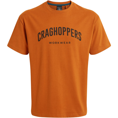 Vêtements Homme T-shirts manches longues Craghoppers Batley Multicolore