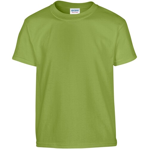 Vêtements Enfant T-shirts & Polos Gildan GD05B Multicolore
