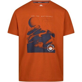 Vêtements Homme T-shirts manches longues Trespass Sagnay Orange