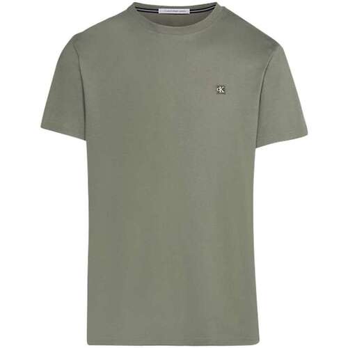 Vêtements Homme T-shirts manches courtes Calvin Klein Jeans 160865VTPE24 Kaki