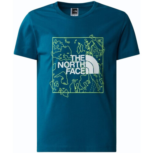 Vêtements Garçon T-shirts manches courtes The North Face NF0A877W Vert