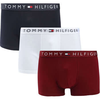 Sous-vêtements Homme Caleçons Tommy Hilfiger  Multicolore