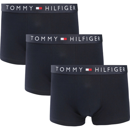 Sous-vêtements Homme Caleçons Tommy Hilfiger  Bleu