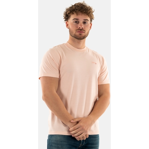 Vêtements Homme T-shirts manches courtes Schott tscasualvint Rose