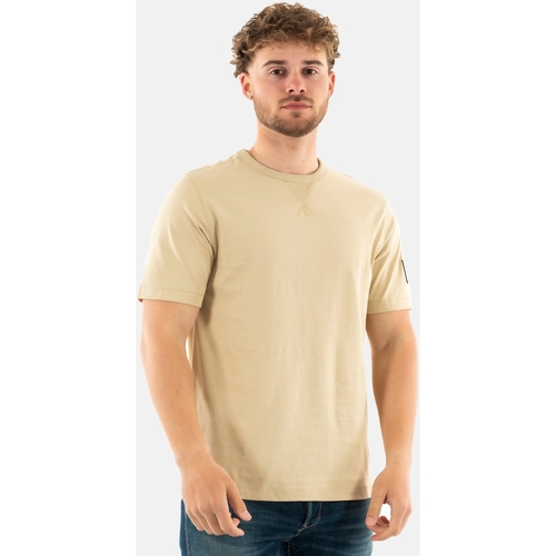 Vêtements Homme T-shirts manches courtes Calvin Klein Jeans j30j323484 Beige