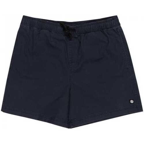 Vêtements Homme Shorts / Bermudas Element Valley twill Bleu