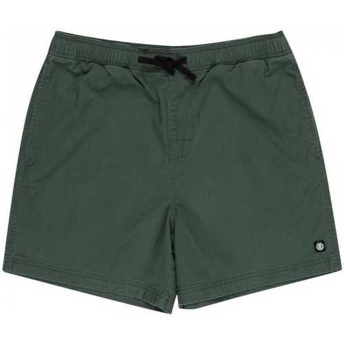 Vêtements Homme Shorts / Bermudas Element Valley twill Vert