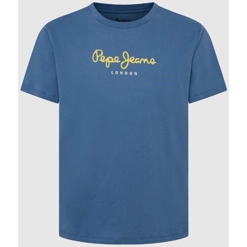 Vêtements Homme T-shirts manches courtes Pepe jeans PM508208 EGGO N Bleu