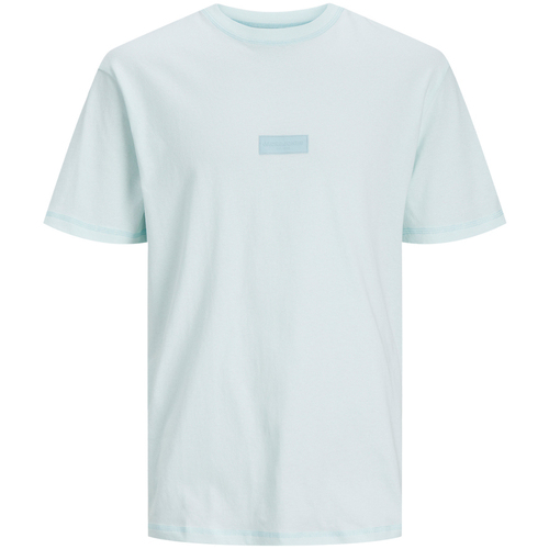 Vêtements Homme T-shirts manches courtes Jack & Jones 12234809 Bleu