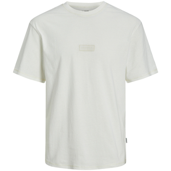 Vêtements Homme T-shirts manches courtes Jack & Jones 12234809 Blanc