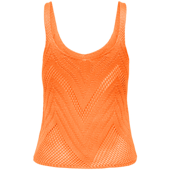 Vêtements Femme T-shirts & Polos JDY 15226348 Orange