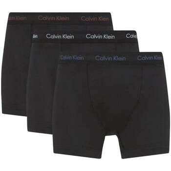 Sous-vêtements Homme Boxers Calvin Klein Jeans 160158VTPE24 Noir