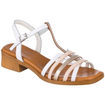 Chaussures Femme Sandales et Nu-pieds Zapp 4176 Blanc