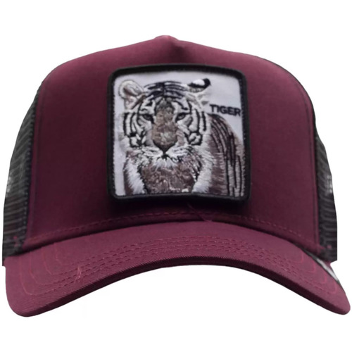 Accessoires textile Femme Chapeaux Goorin Bros Goorin bros chapeau Tiger burgundy Bordeaux