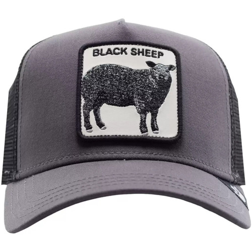 Accessoires textile Homme Chapeaux Goorin Bros Goorin Bros Hat Black Sheep Grey Gris