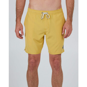 Vêtements Homme Maillots / Shorts de bain Salty Crew Lowtide elastic boardshort Vert