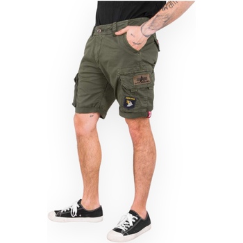 Vêtements Homme Shorts / Bermudas Alpha 186209 142 Vert