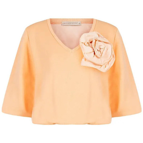 Vêtements Femme Sweats Rinascimento CFC0119469003 Orange