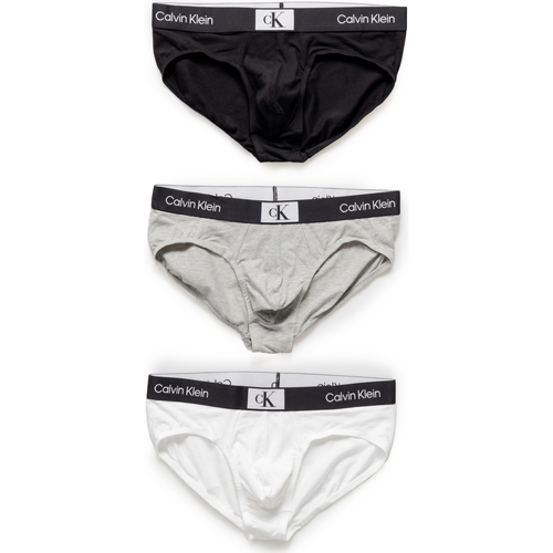 Sous-vêtements Homme Caleçons Calvin Klein Jeans HIP BRIEF 3PK 000NB3527A Blanc