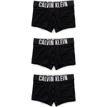 Sous-vêtements Homme Boxers Calvin Klein Jeans TRUNK 3PK 000NB3608A Noir
