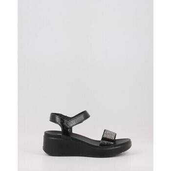 Chaussures Femme Sandales et Nu-pieds Imac 558640 Noir