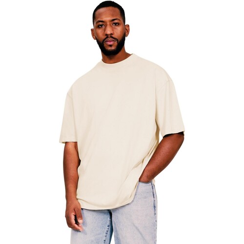 Vêtements Homme T-shirts manches courtes Casual Classics Core Beige