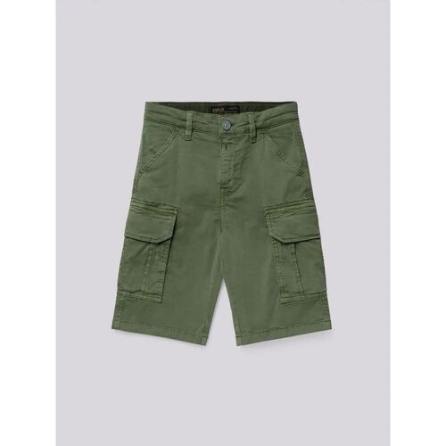 Vêtements Garçon Shorts / Bermudas Replay SB9525.050.8437M-806 Vert