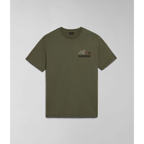 Vêtements Homme T-shirts & Polos Napapijri S-COLVILLE NP0A4HS5-GAE GREEN LICHEN Vert