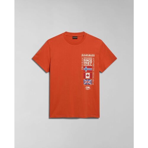 Vêtements Homme T-shirts & Polos Napapijri S-TURIN NP0A4HQG-A62 ORANGE BURNT Orange