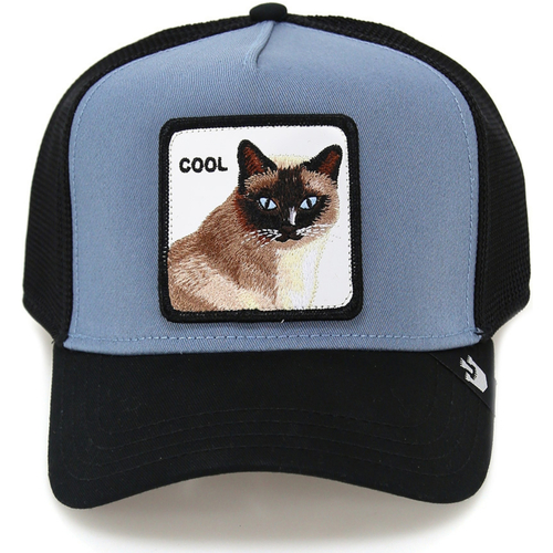 Accessoires textile Chapeaux Goorin Bros Cool Cat Bleu