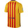 Vêtements Homme T-shirts & Polos Nike FC Barcelona Away Replica 2015/2016 Jaune